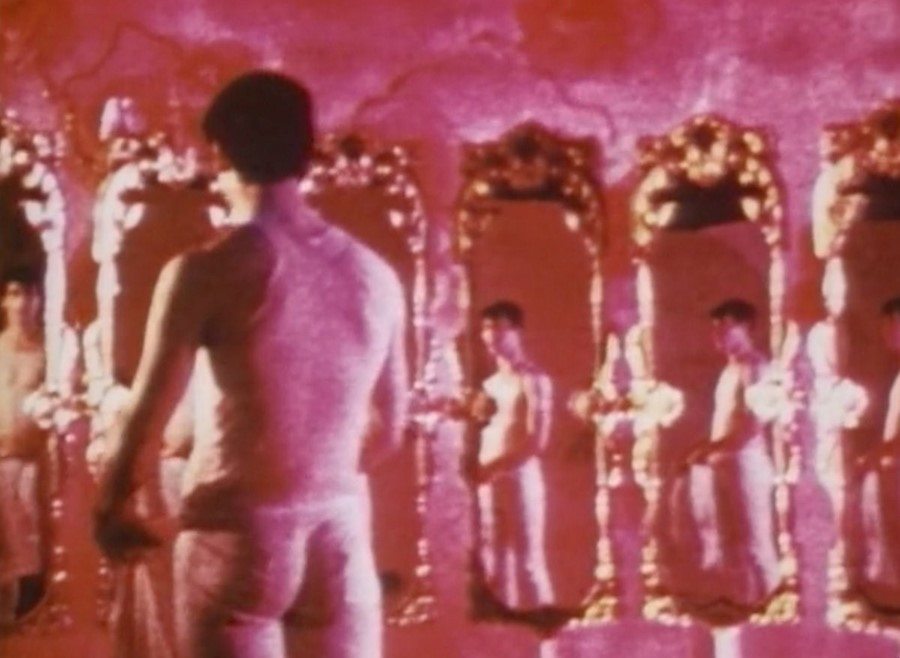 Pink Narcissus, 1971