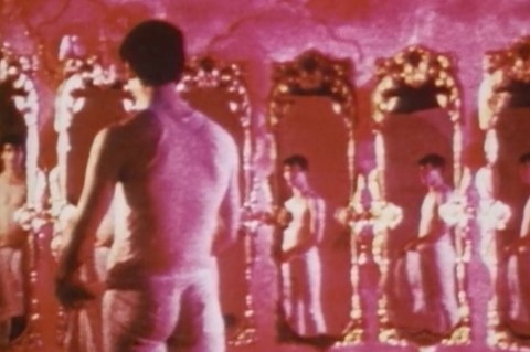 Pink Narcissus, 1971